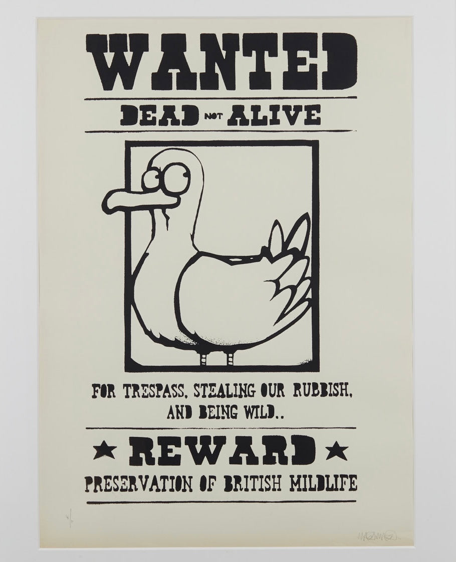 Wanted Duck